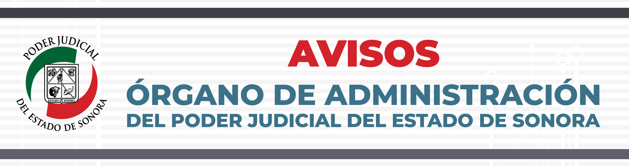 Organo de Administracion