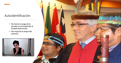Conferencia sobre Casos que Involucren Derechos de Pueblos y Comunidades Indígenas