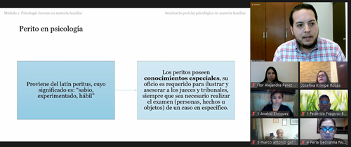 Inicia Seminario Virtual "Pericial Psicológica en Materia Familiar"