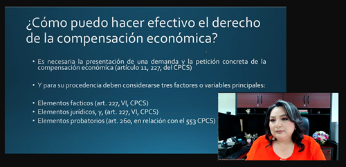 Se realiza conferencia virtual sobre Compensación Económica en el Divorcio